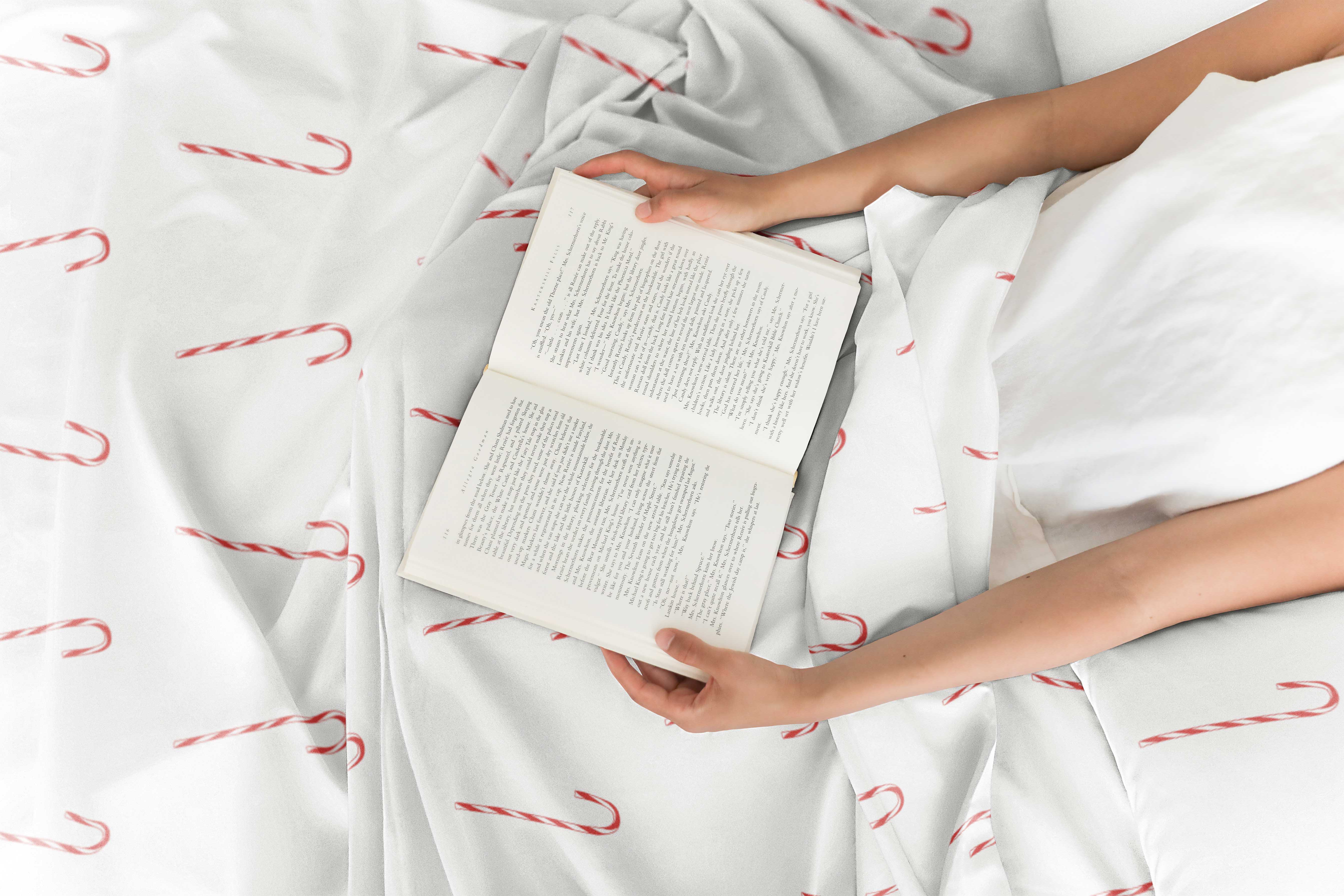 4 Piece Christmas Sheet Set - Image 26