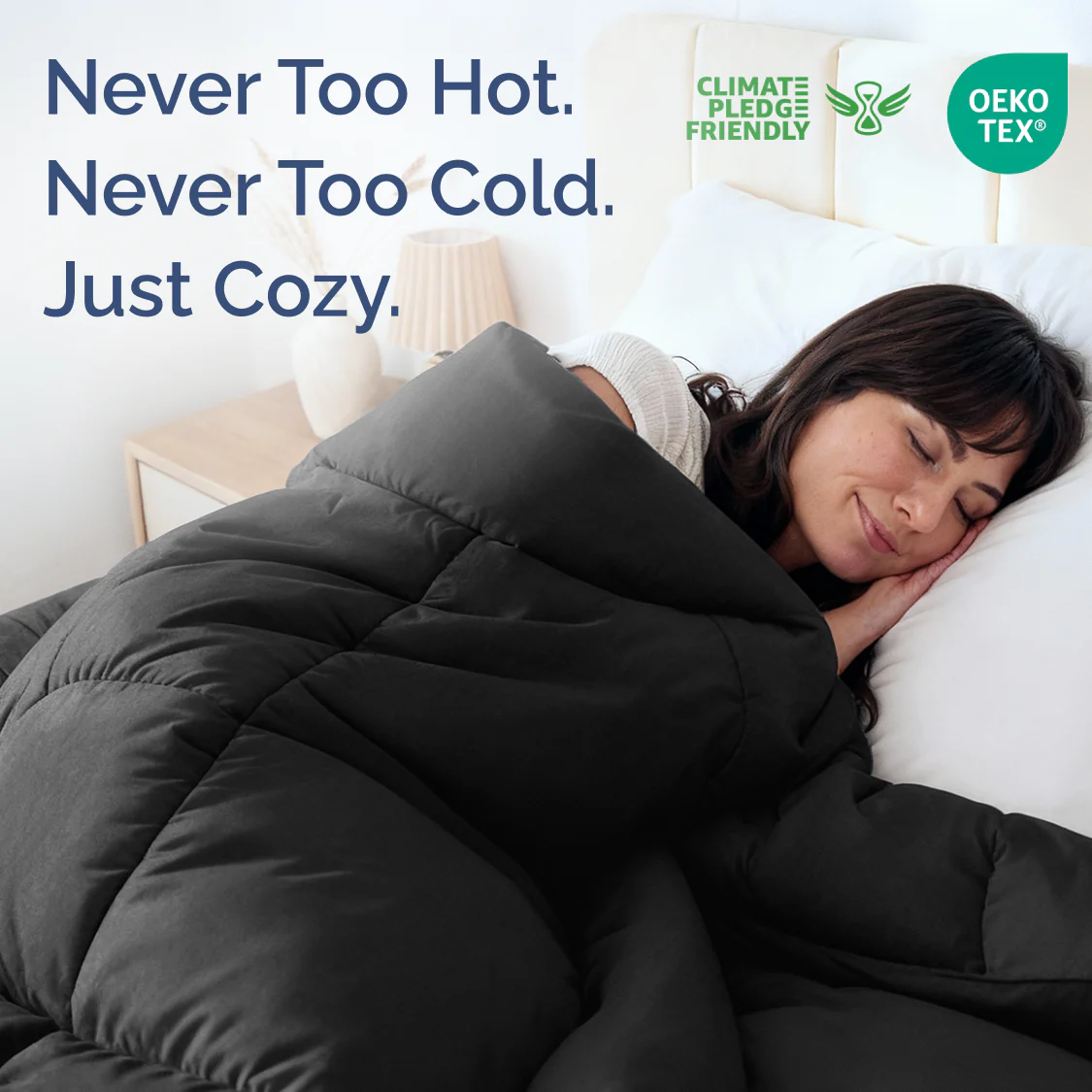 Premium Down Alternative Comforter - Image 106