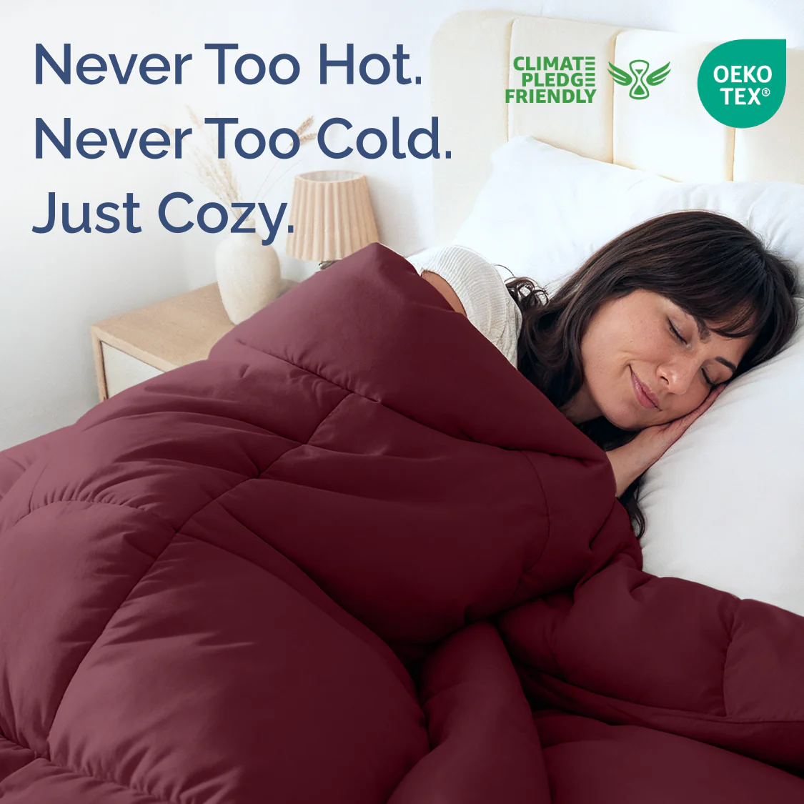 Premium Down Alternative Comforter - Image 108