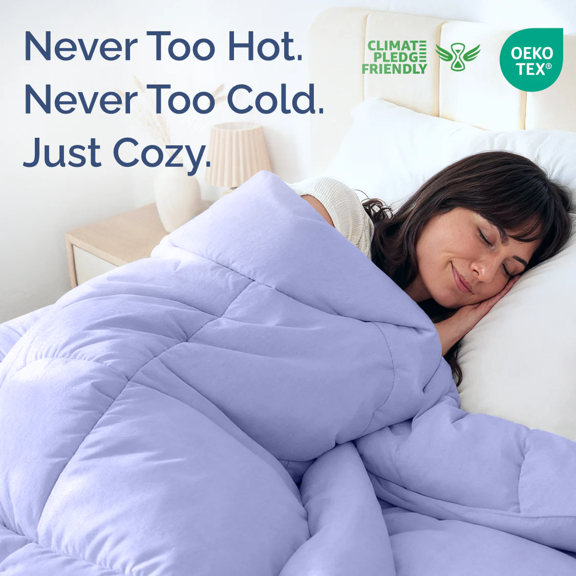 Premium Down Alternative Comforter - Image 120