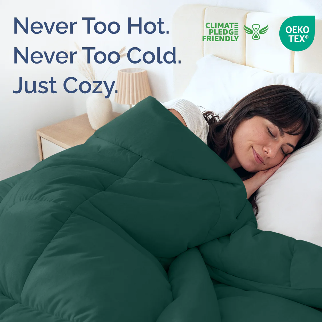 Premium Down Alternative Comforter - Image 123