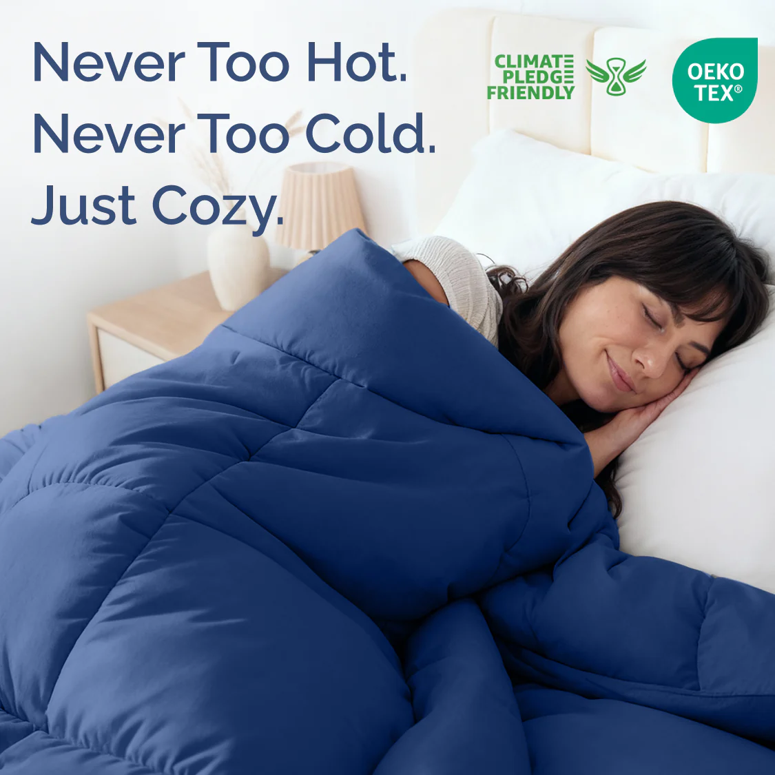 Premium Down Alternative Comforter - Image 132