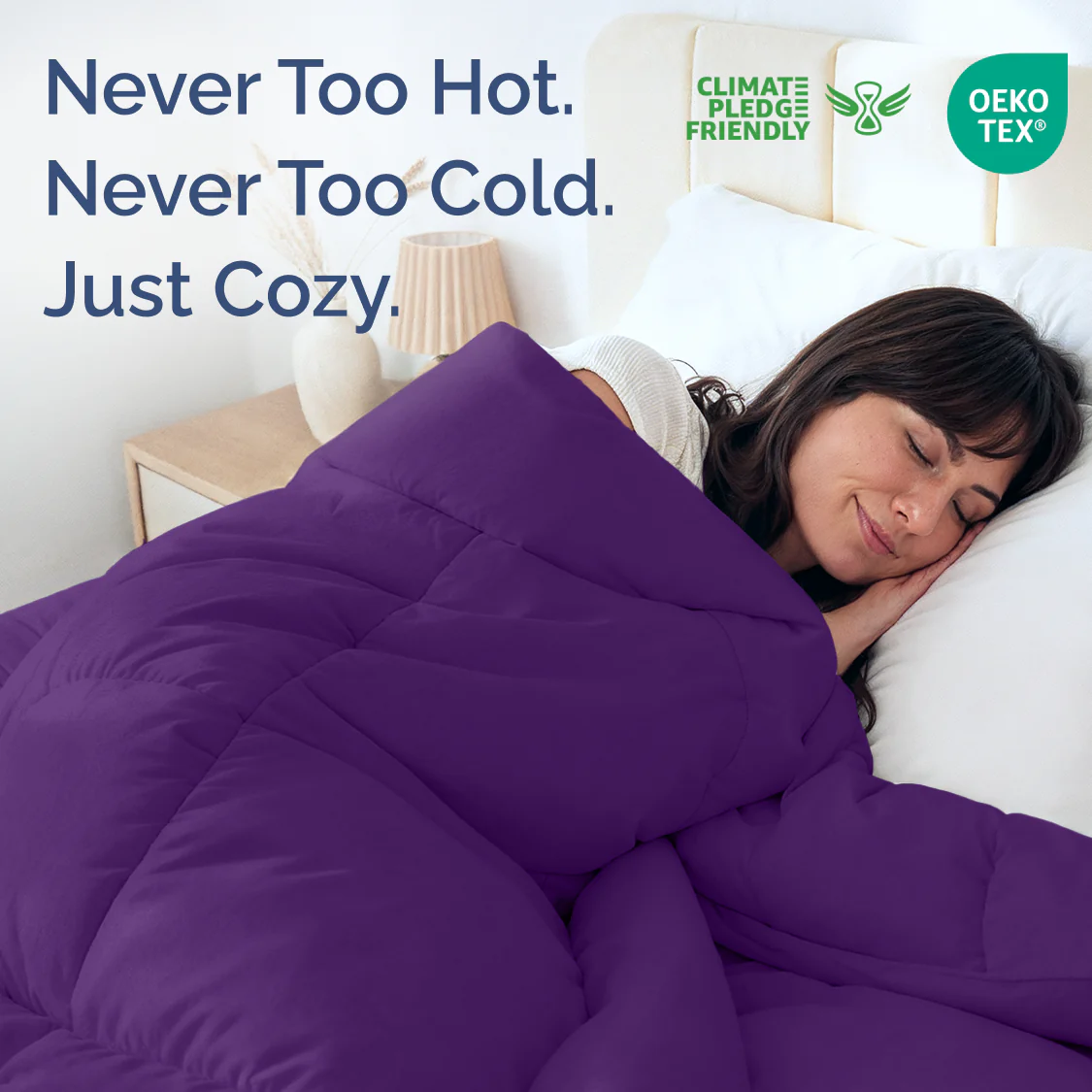 Premium Down Alternative Comforter - Image 135