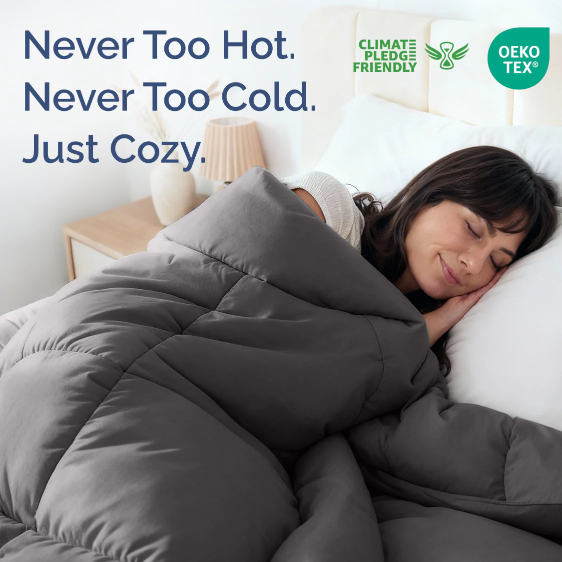 Premium Down Alternative Comforter - Image 138